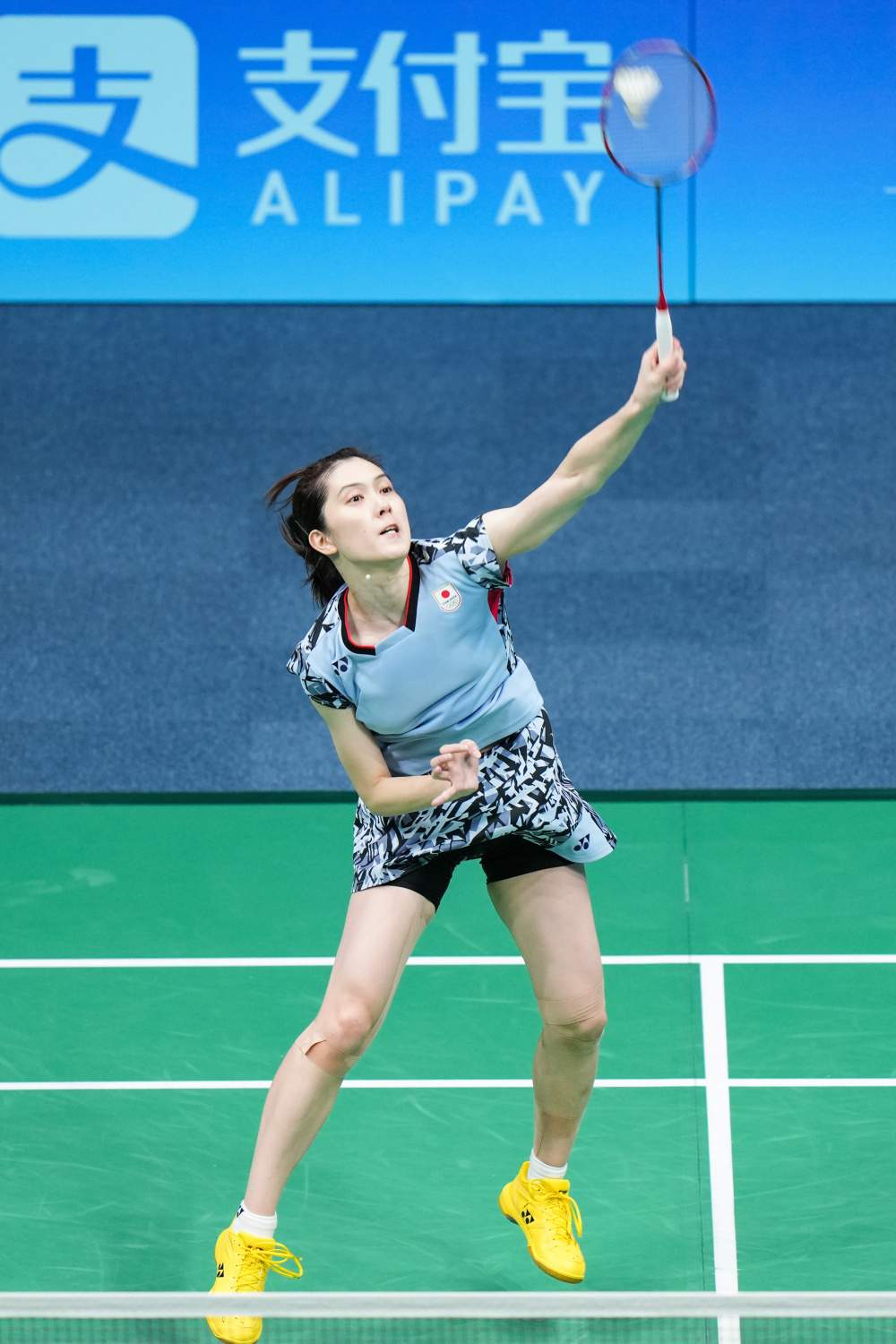 近年来在转 近年来在转